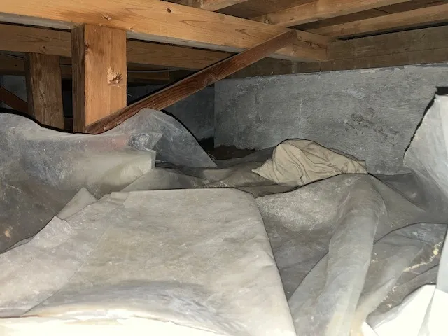 床下養生